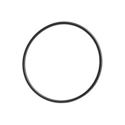 O-ring, Housing - Survivor Led