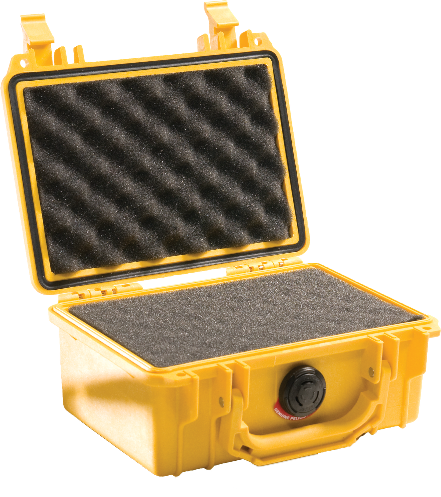 1120 Protector Case