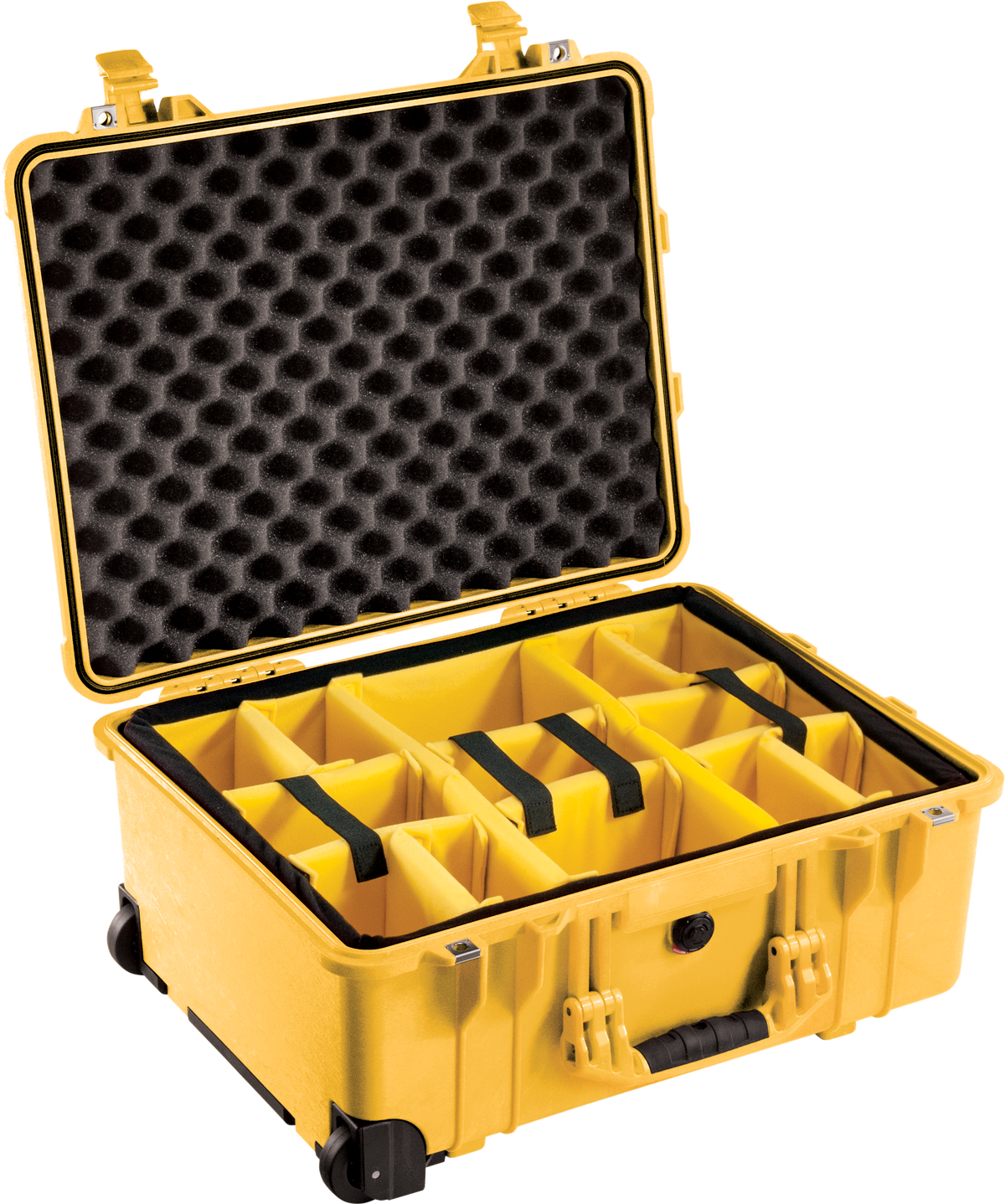 1560 Protector Case