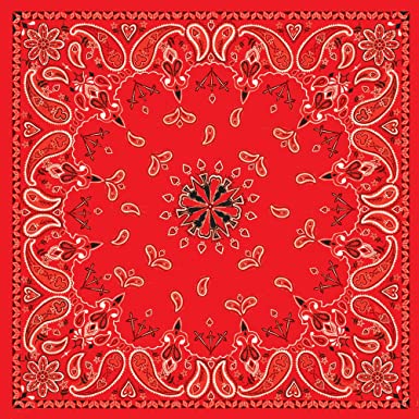 Zan Headgear Bandanna