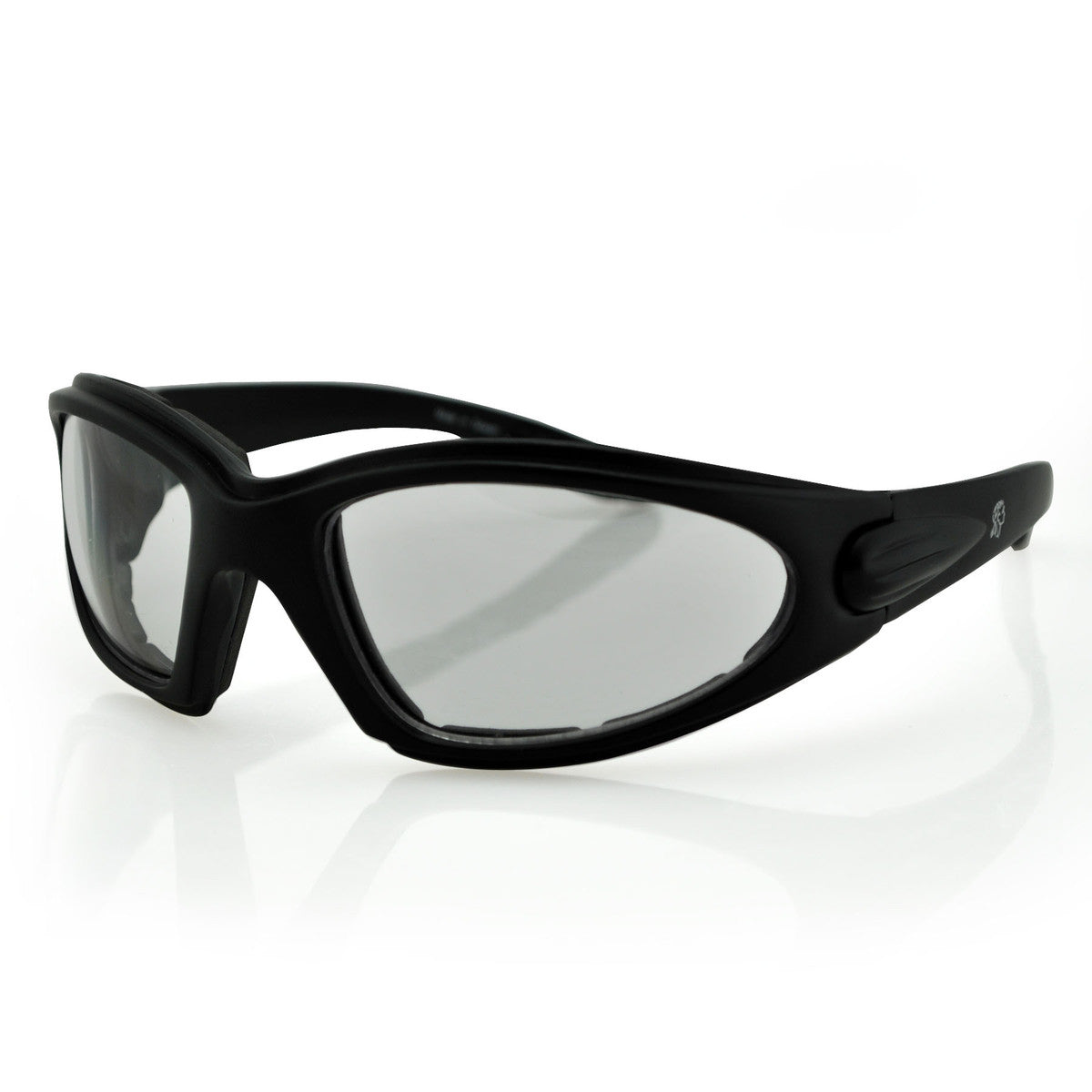 Texas Sunglass