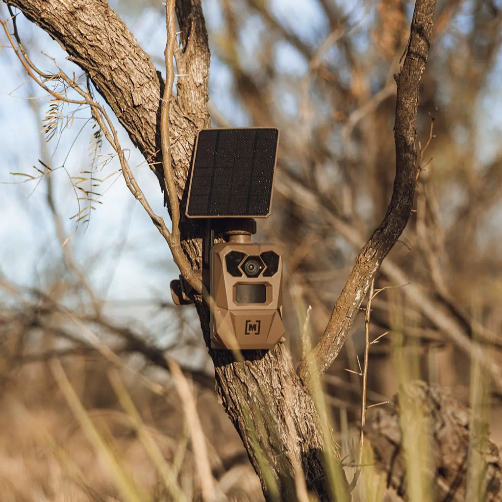 Moultrie Edge 4 Solar Cellular Trail Camera