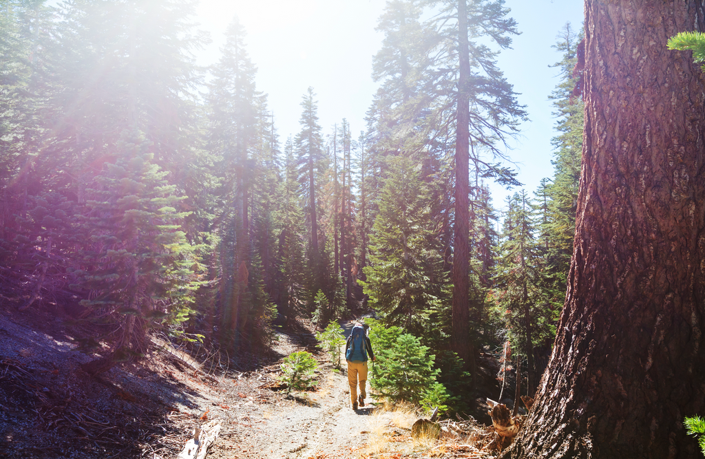 Stay Safe on the Trail With Our Summer Hiking Gear for California Online