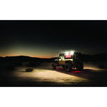 RIGID Industries 1" x 2" 65° - DC Scene Light - Black