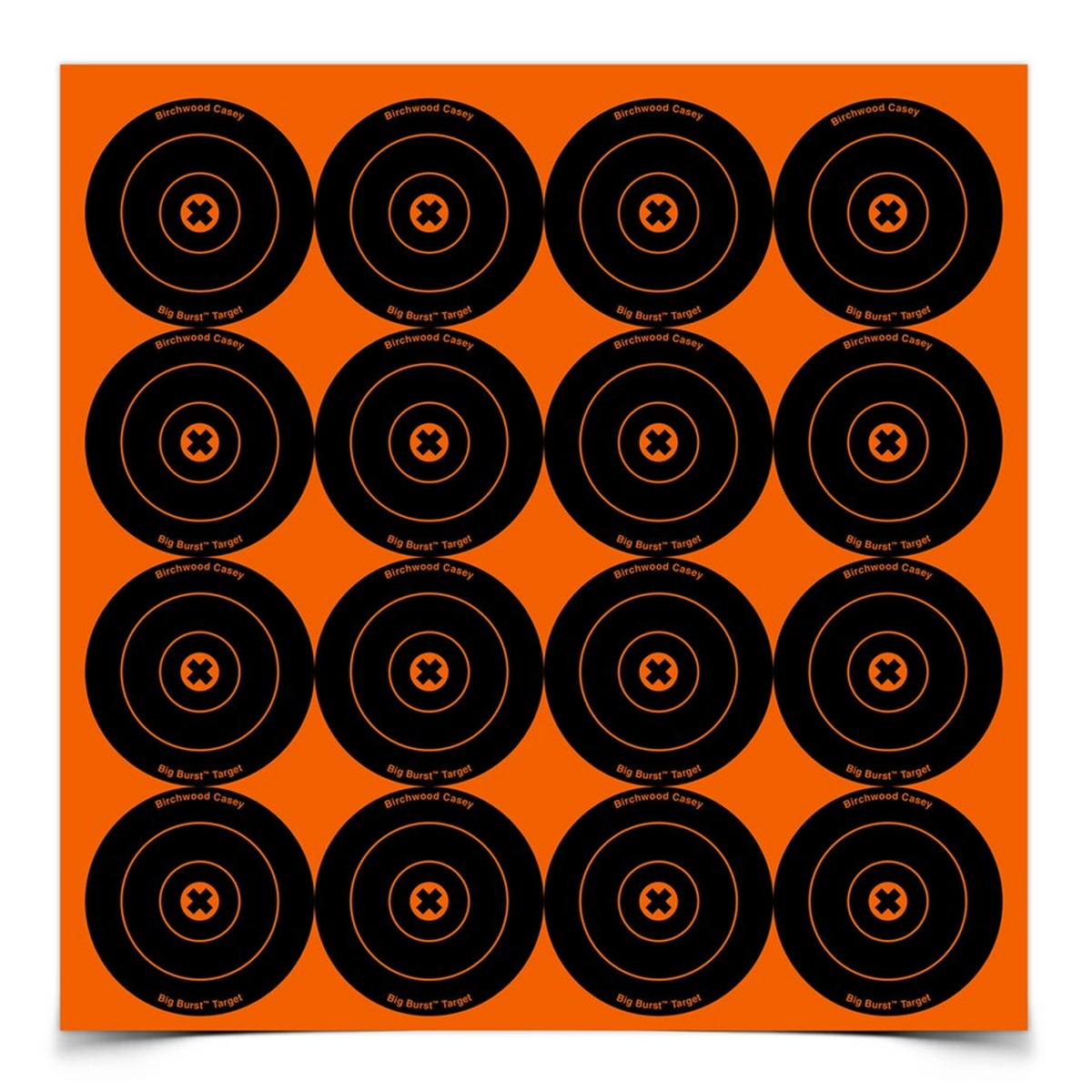Big Burst 3 Inch Bull's-eye Targets, 3 Sheets, 48 Targets