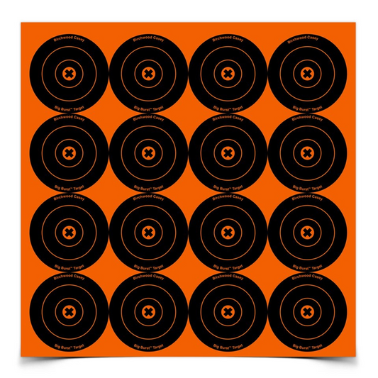 Big Burst 3 Inch Bull's-eye Targets, 3 Sheets, 48 Targets