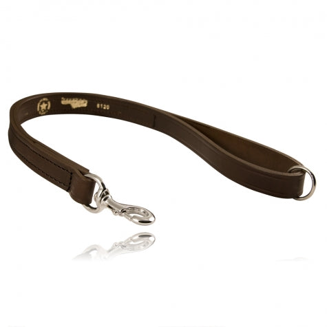 26 Denver K-9 Lead