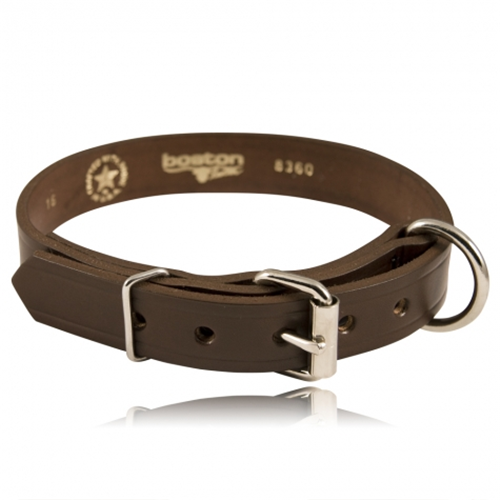 1 Single Ply K-9 Collar