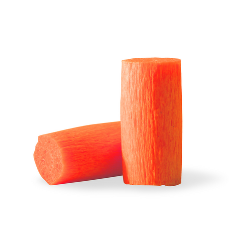 Cylinder Ear Plugs, 29db Noise Reduction Rating Nrr