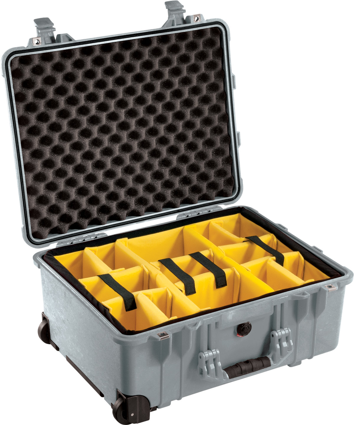 Pelican 1560 Protector Case