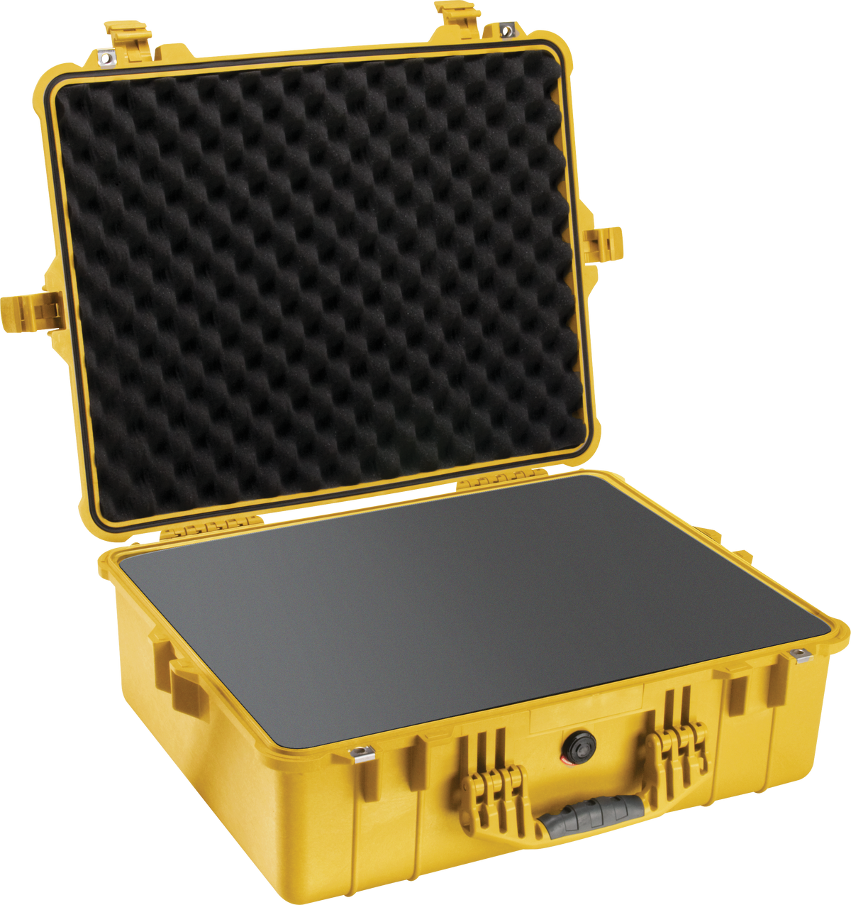Pelican 1600 Protector Case
