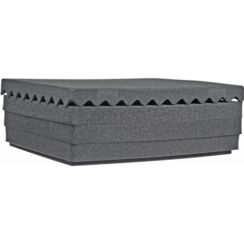Im2700-foam 5 Pc. Replacement Foam Set