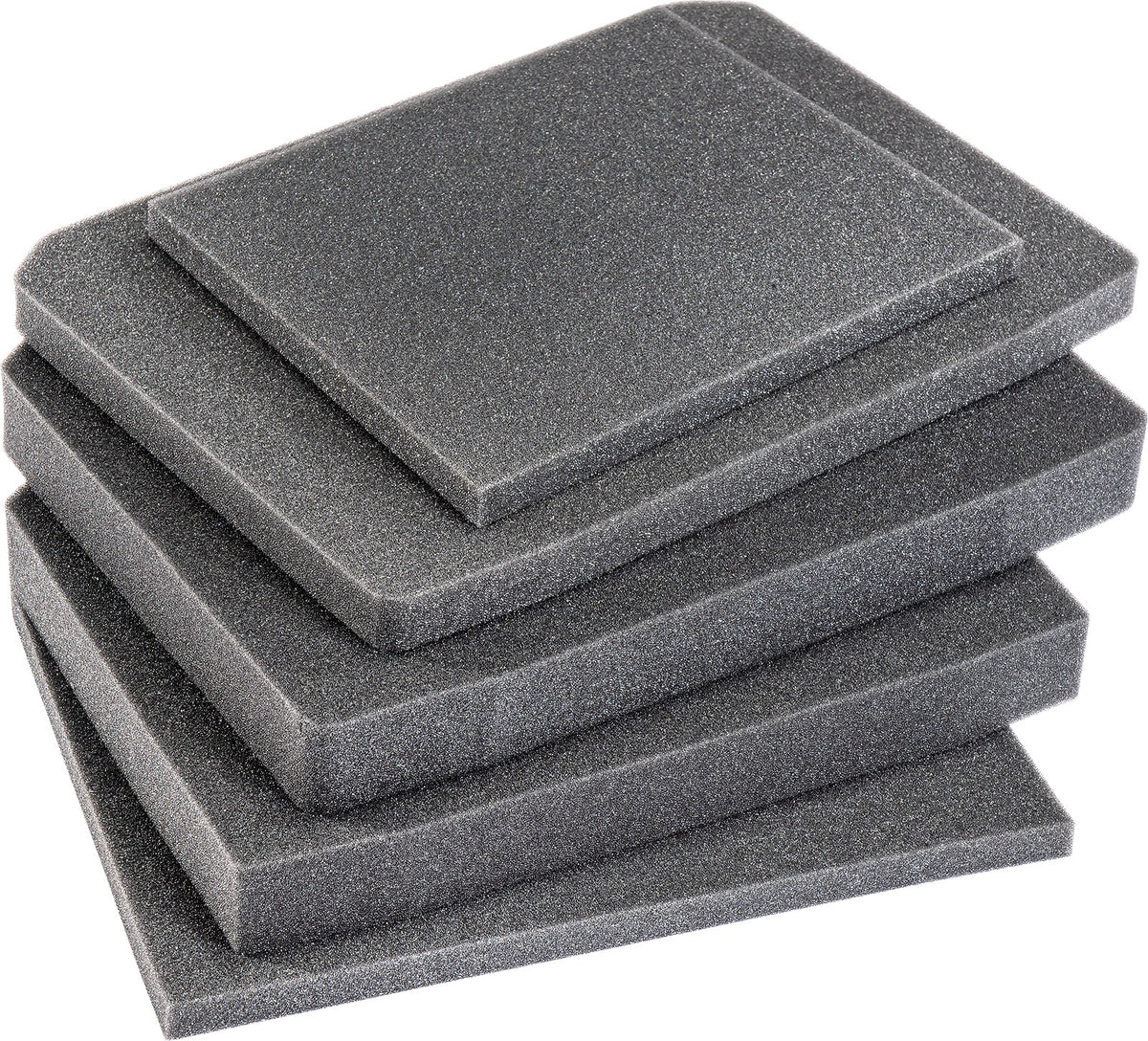 V200fs 4 Pc. Replacement Foam Set