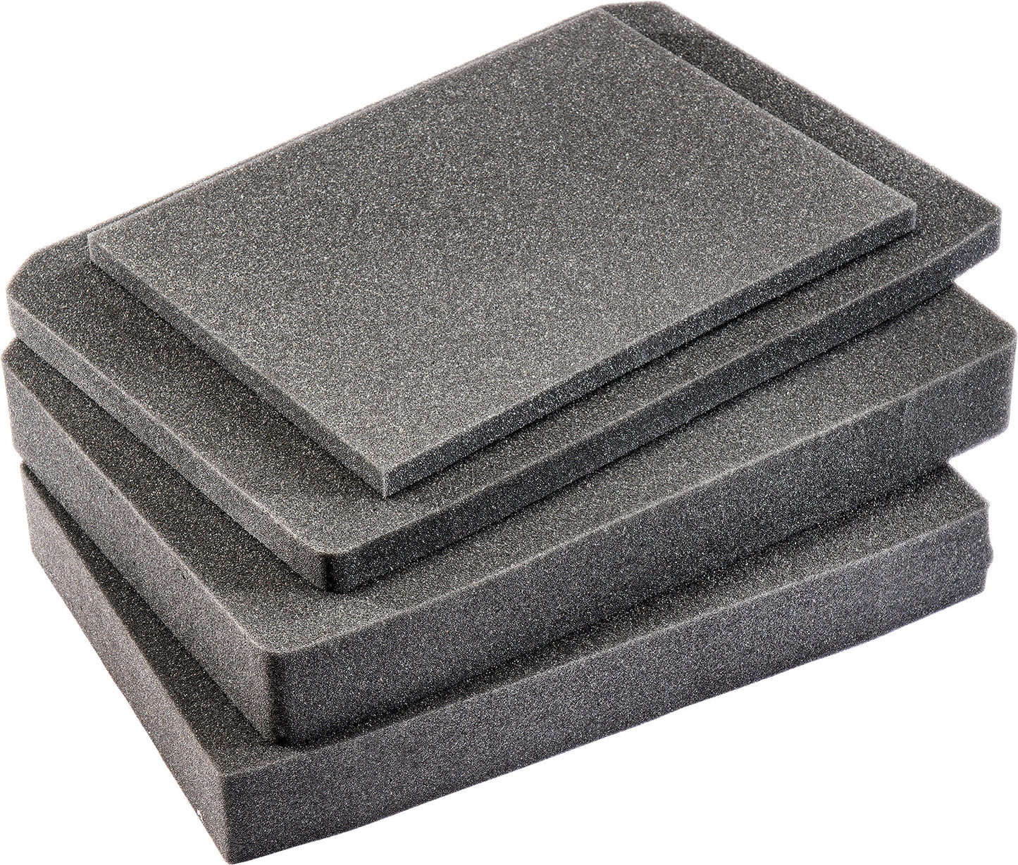 V300fs 4 Pc. Replacement Foam Set