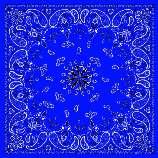 Zan Headgear Bandanna