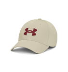 Under Armour Blitzing Cap