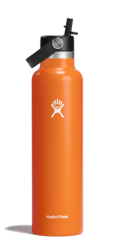 Standard Mouth 24oz Insulated Water Bottle w/ Flex Straw