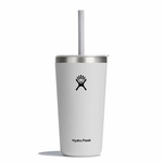 Hydro Flask 20 Oz All Around Tumbler With Straw Lid