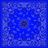 ZanHeadgear Bandanna