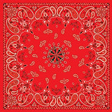 ZanHeadgear Bandanna