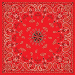 ZanHeadgear Bandanna