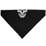 ZanHeadgear Bandanna