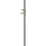 Trophy Treestands Archers Roost Combo Hang On Stand & 20ft. Climbing Sticks