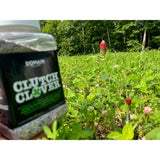 Domain Clutch Clover Seed 1/4 Acre