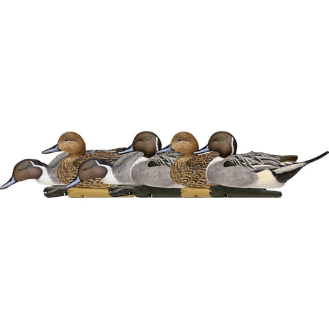 Avianx Top Flight Duck Decoys Pintail 6 Pk.