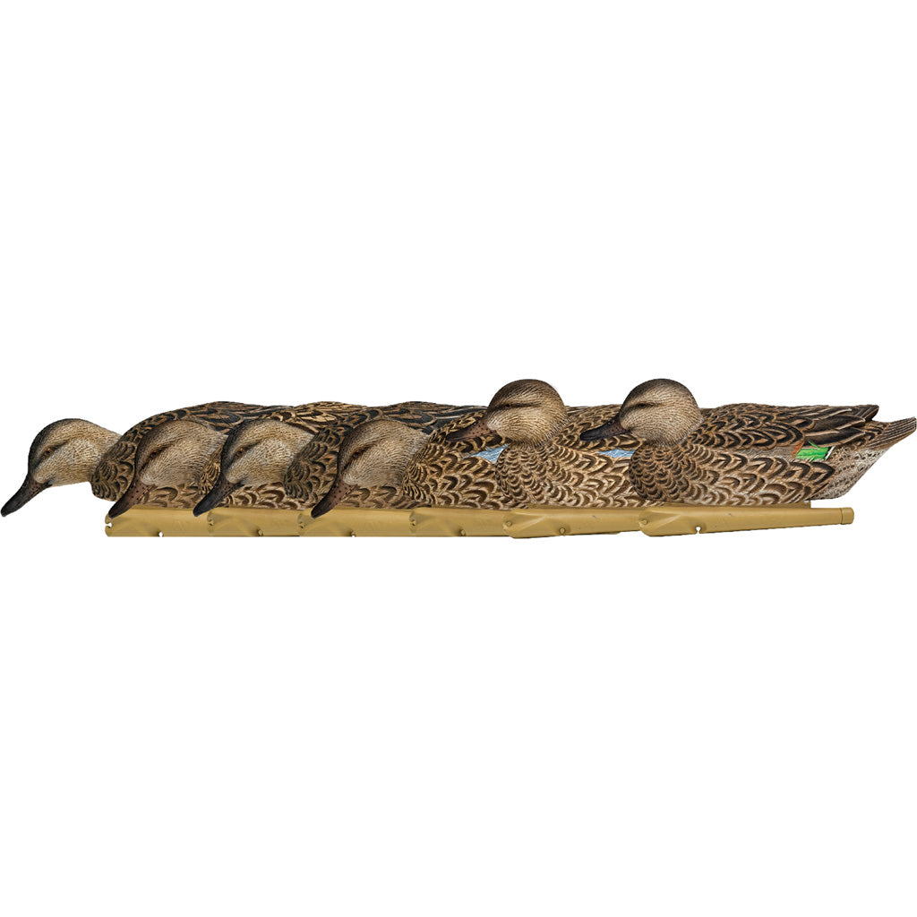 Avian X Top Flight Duck Decoys Early Season Teal 6 Pk.