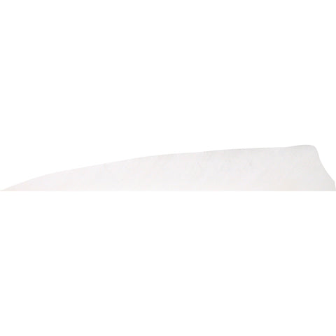 Gateway Shield Cut Feathers Flo White 4 In. Lw 50 Pk.