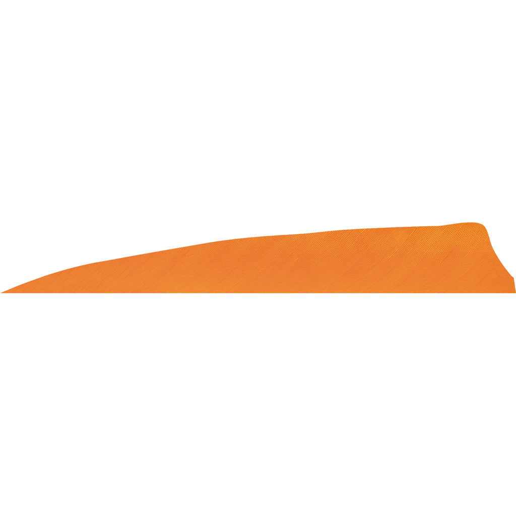 Gateway Shield Cut Feathers Flo Orange 4 In. Rw 50 Pk.