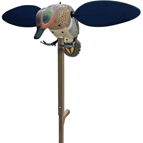 Mojo Green Wing Teal