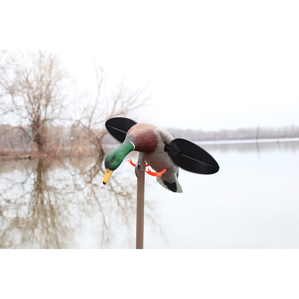 Mojo Lite Mallard
