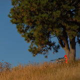 Allen Softshell Blaze Hunting Vest Xl