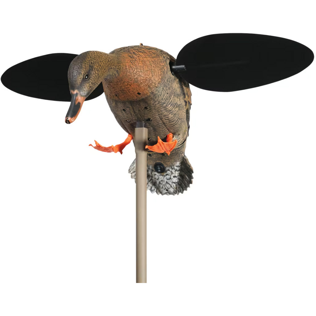 Mojo Baby Hen 2.0 Decoy