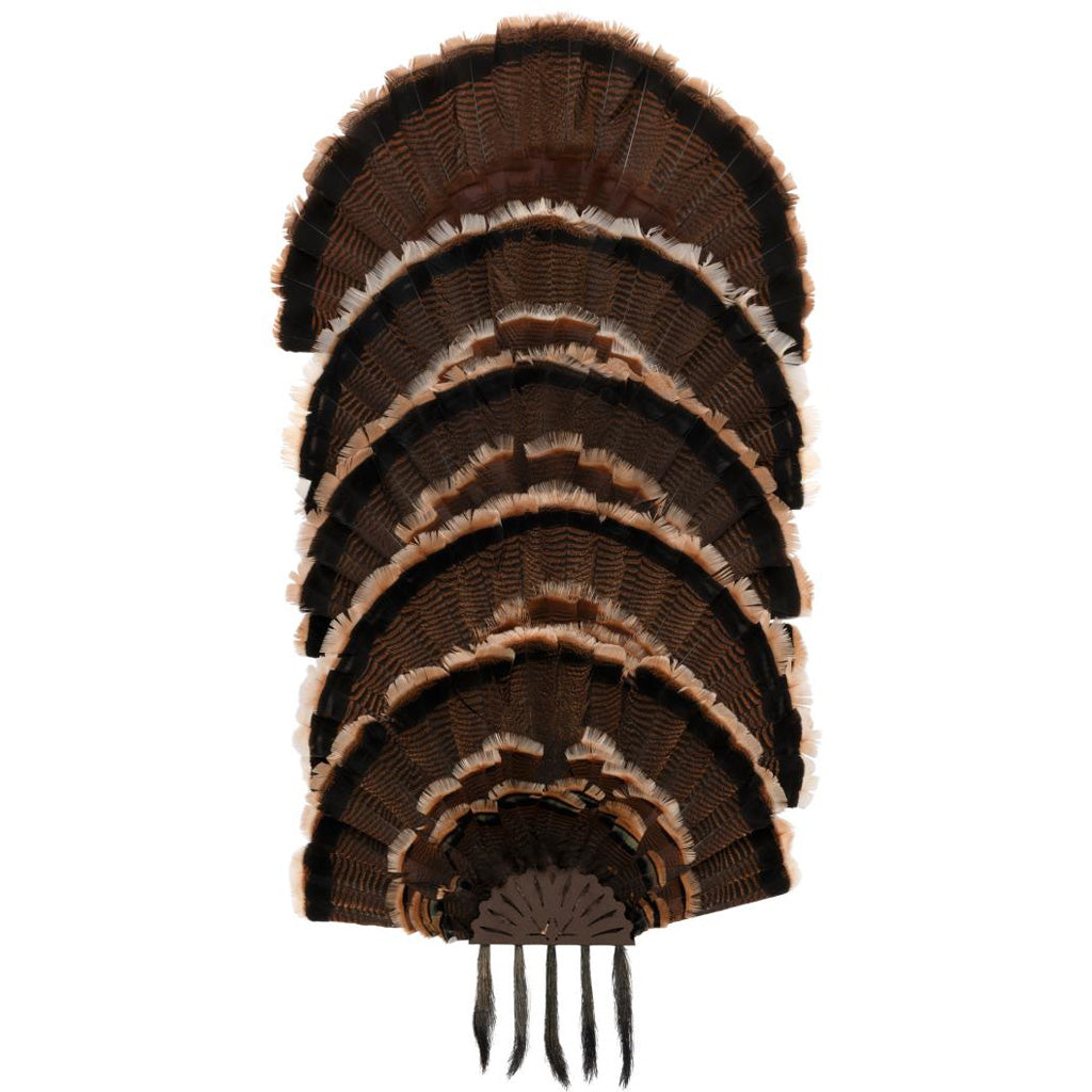 Allen Ez Mount Stacked Turkey Fan Mount 5 Stack