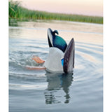 Avian X Power Butt Kicker Mallard Hen