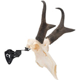 Allen Ez Mount Skull Stand Deer Size
