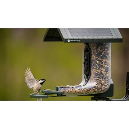 Tactacam Feathersnap Scout Bird Feeder Version 1