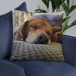 Napping Beagle Pillow