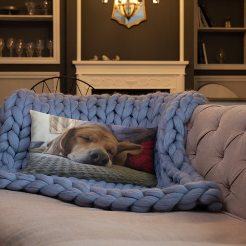 Napping Beagle Pillow